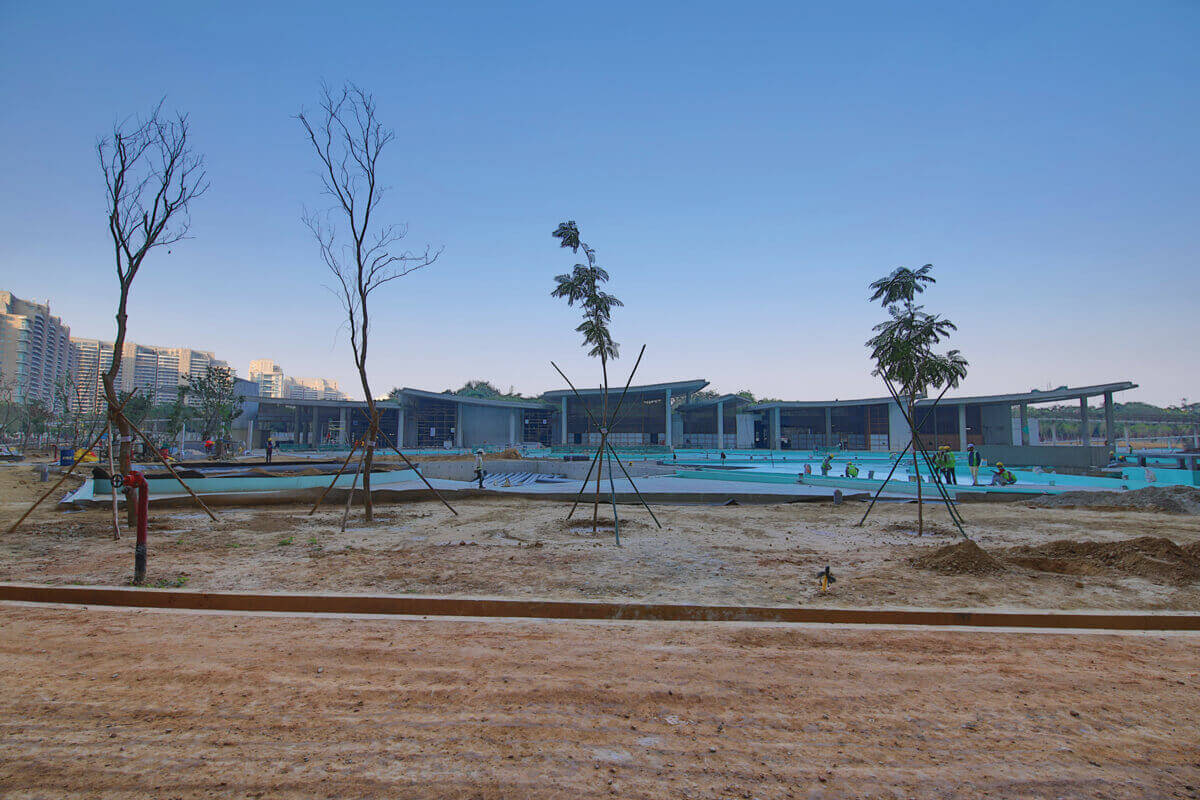 DLF The Camellias — official photo 5